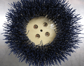 Silicon Brush for Hull Cleaning.