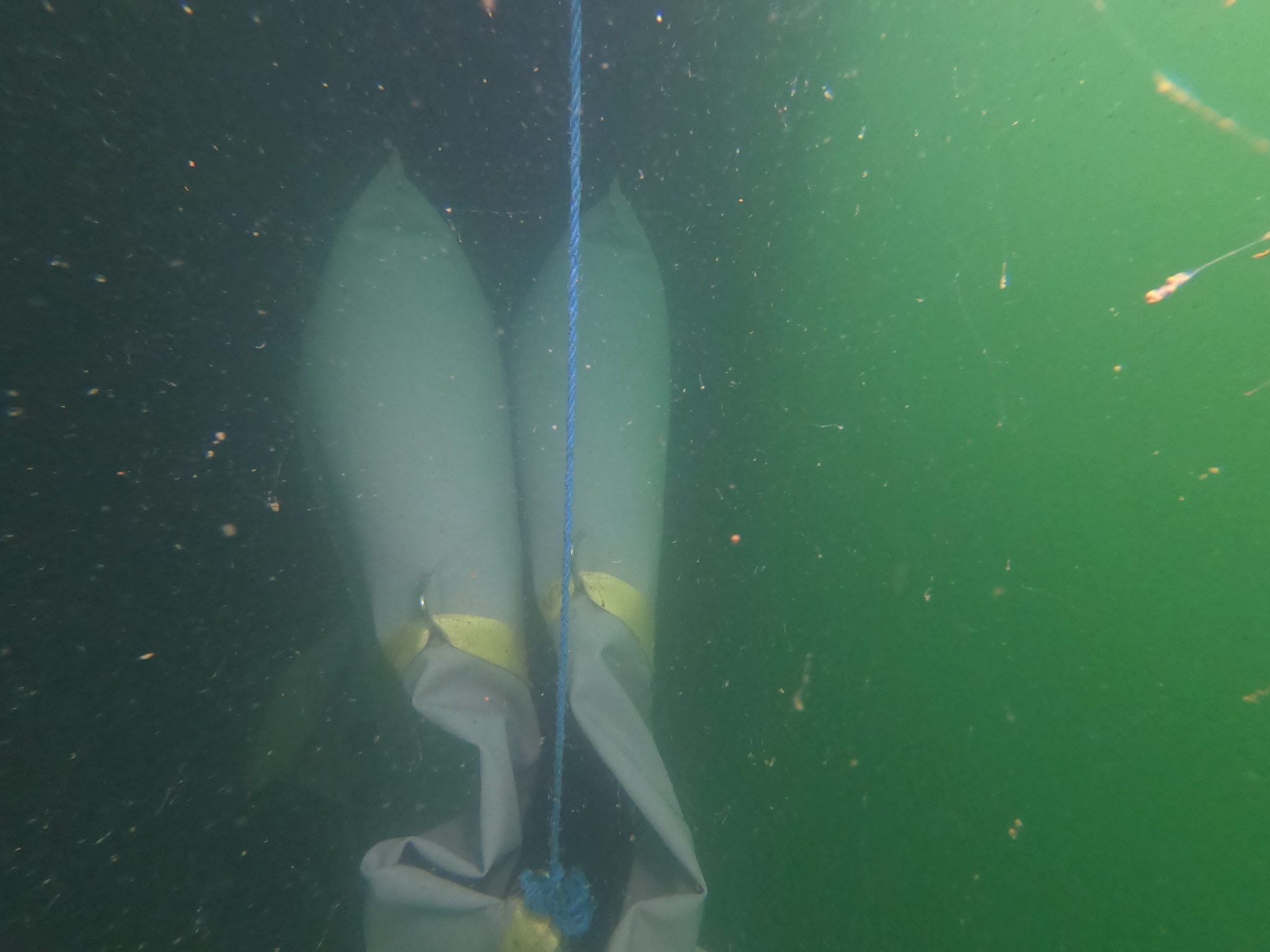 Carboline Underwater Epoxy.